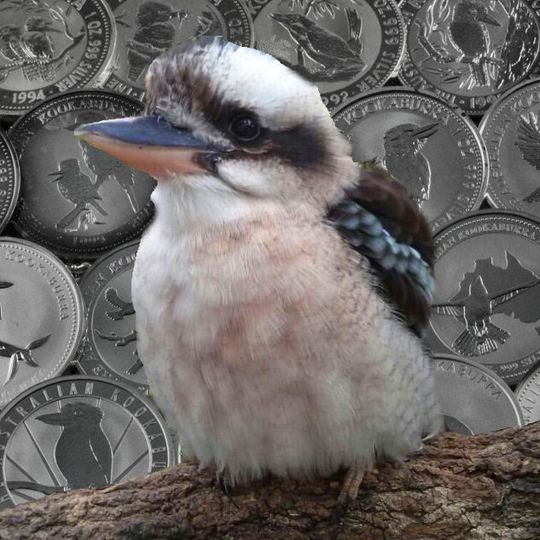 Kookaburra Prägejahre