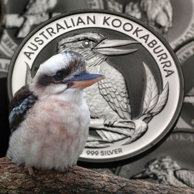 Australian Kookaburra 2012 Silbermünze