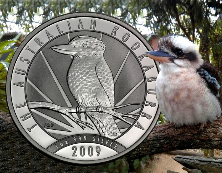 Australian Kookaburra 2009