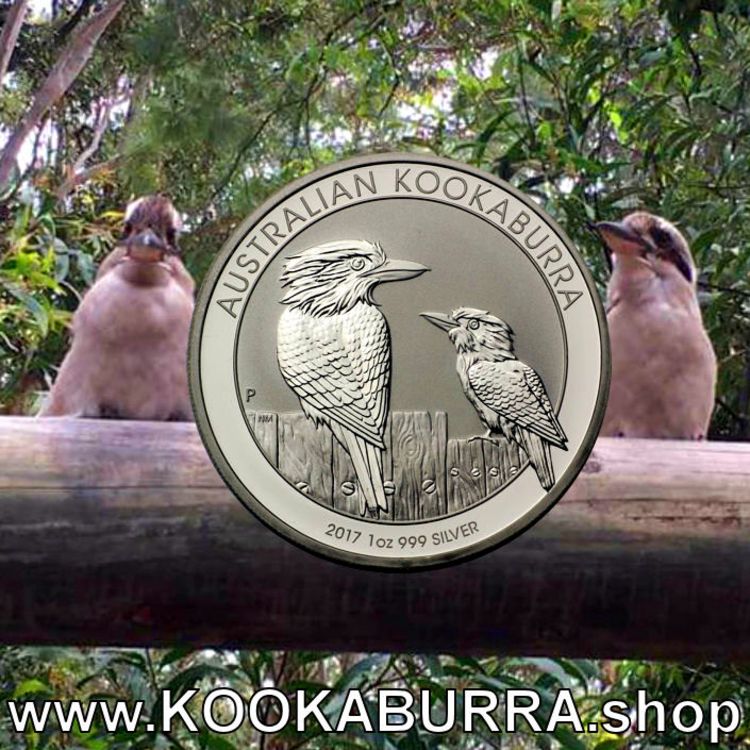 Australian Kookaburra 2017