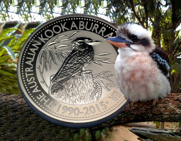 Australian Kookaburra 2015