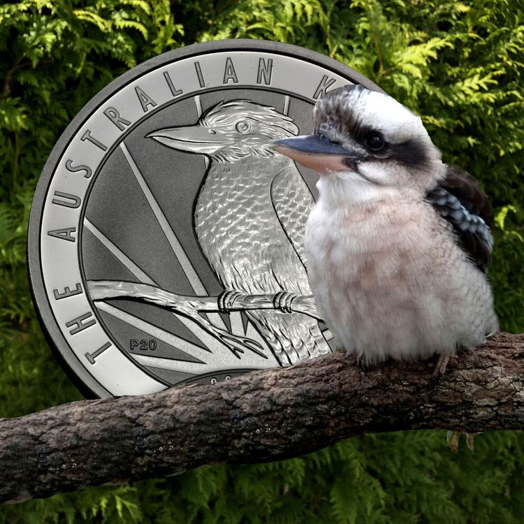 Australian Kookaburra 2oz Silbermünze