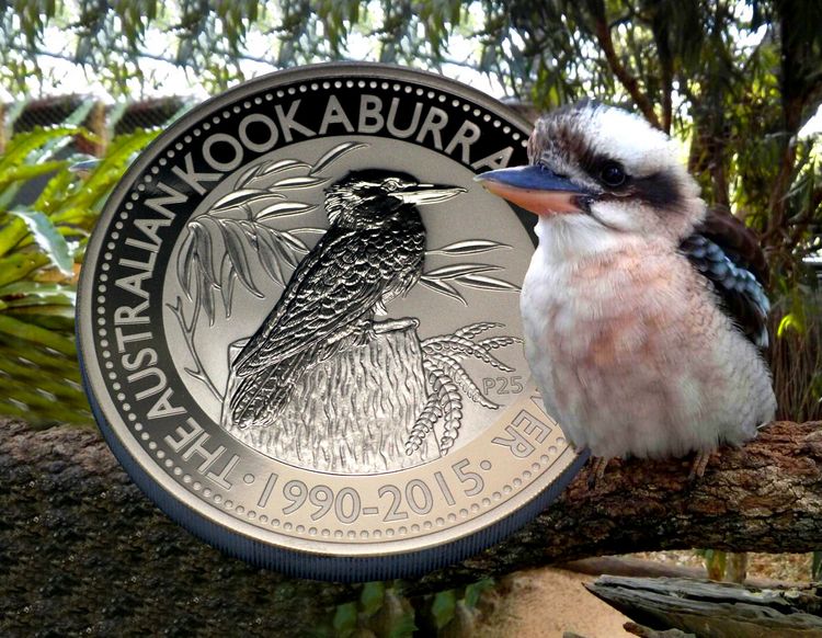 Australian Kookaburra 2015 Australian Kookaburra 2015